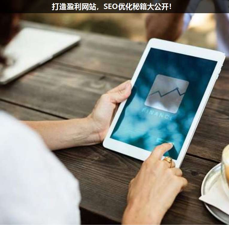 打造盈利網站,SEO優化秘籍大公開!